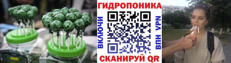 как найти закладки  Тогучин  нарко площадка клад  Cannafood конопля 