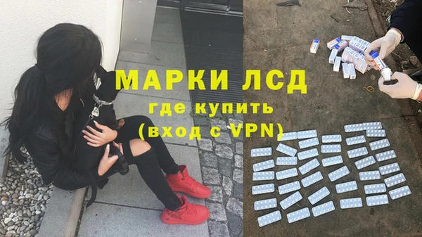 амф Корсаков