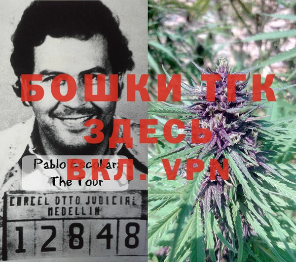 бошки Костерёво