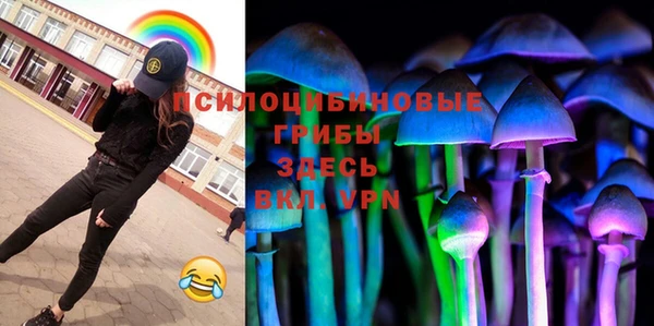 бошки Костерёво