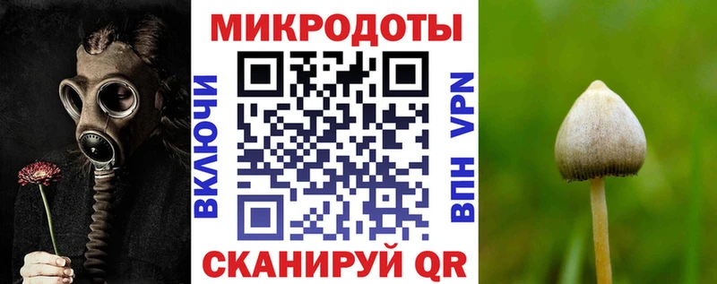 Галлюциногенные грибы MAGIC MUSHROOMS Тогучин